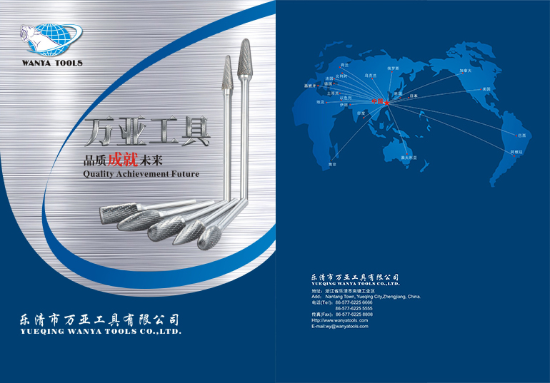 Yueqing Wanya Tools Co., Ltd.